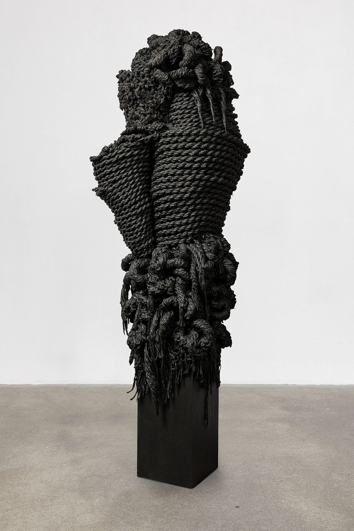 Soli Kiani_Kur Kur 2. 2025. ca. 185x55x70. Hampropes, Glue, concrete, steel and acrylic