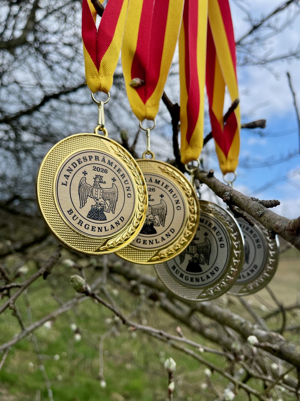 HURKAS wunderbare Streuobstwiese