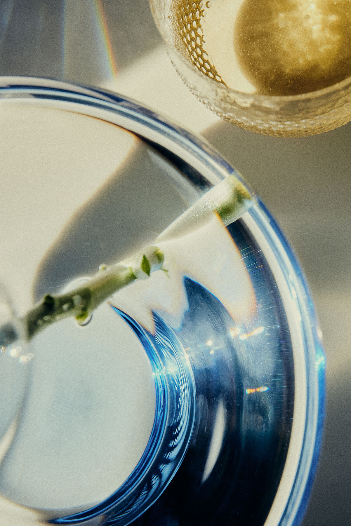 Ichigo Vienna x Arin - Web res - 26