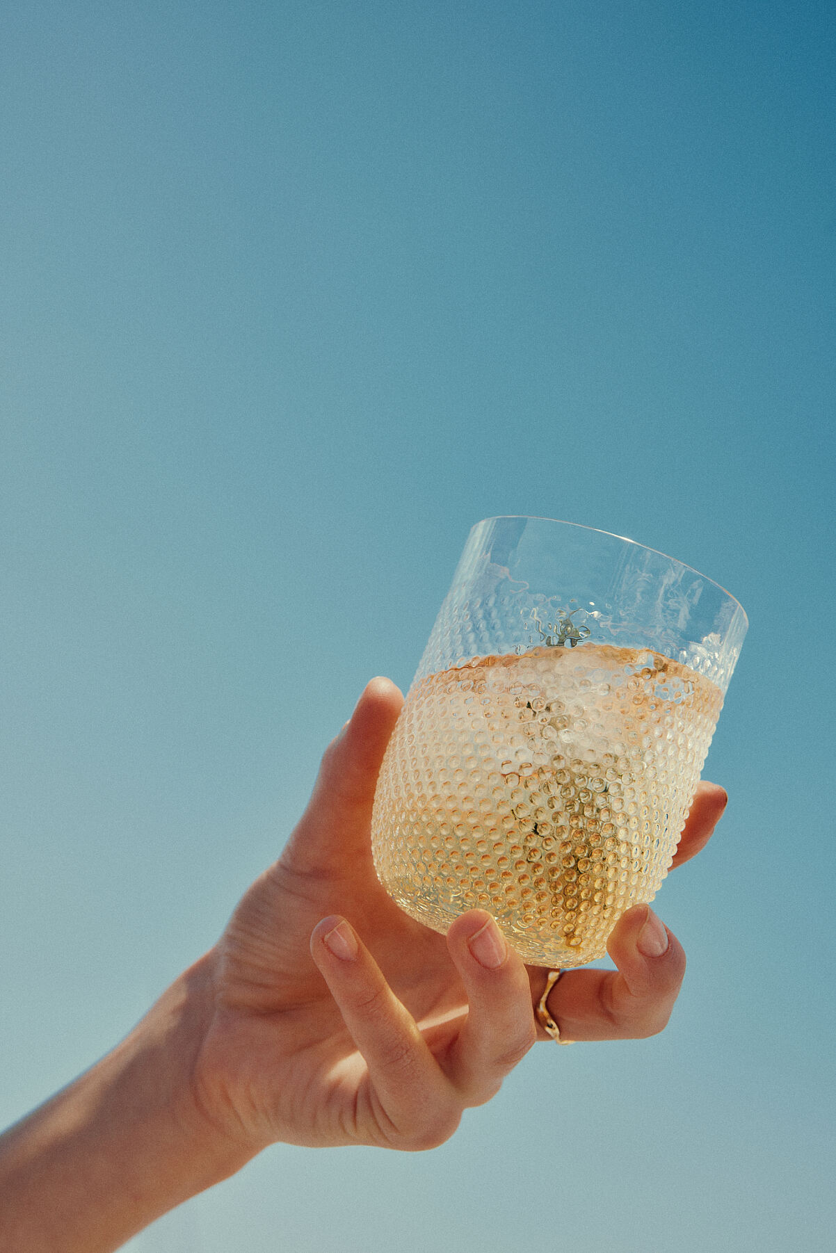 Ichigo Vienna x Arin - Web res - 42