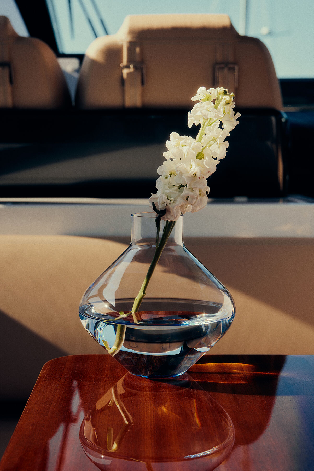 Ichigo Vienna x Arin - Web res - 44