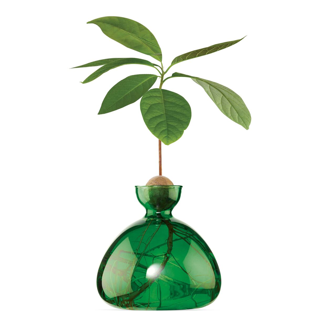 Avocado Vase ab 56,90 €