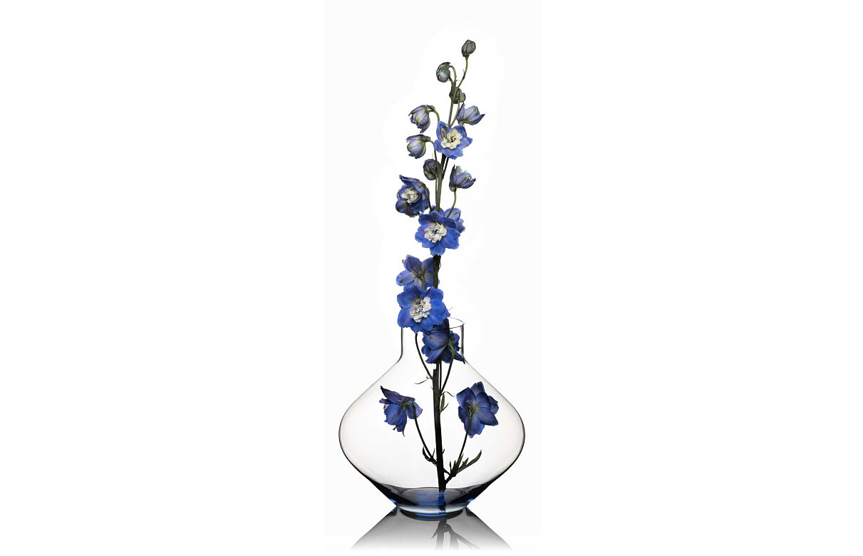 ICHIGO.Bloom No. 1 Vase & Decanter Light Blue+flowers-larkspur2