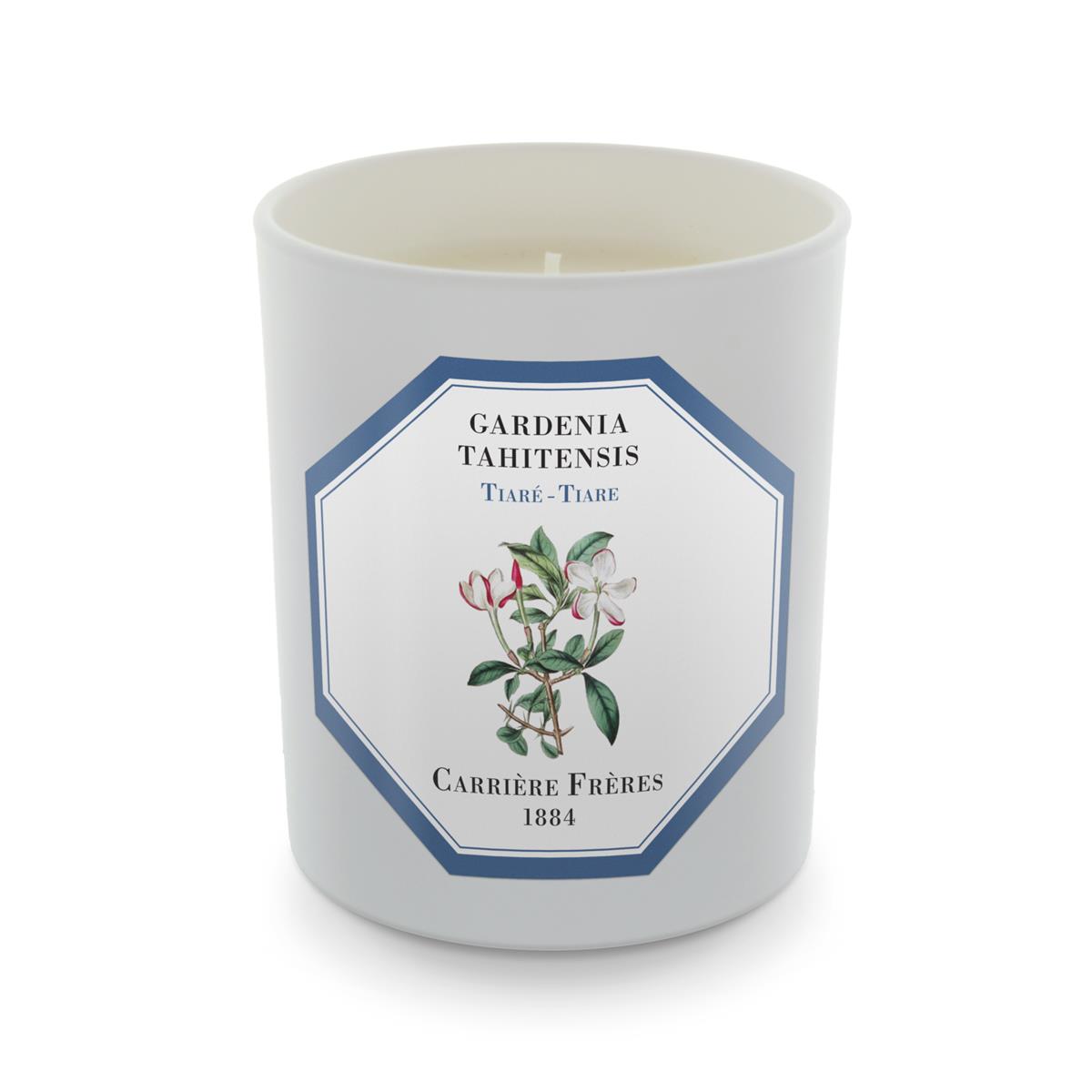 Carrière Frères Candle EUR 44,90 (c) Zweigstelle_19