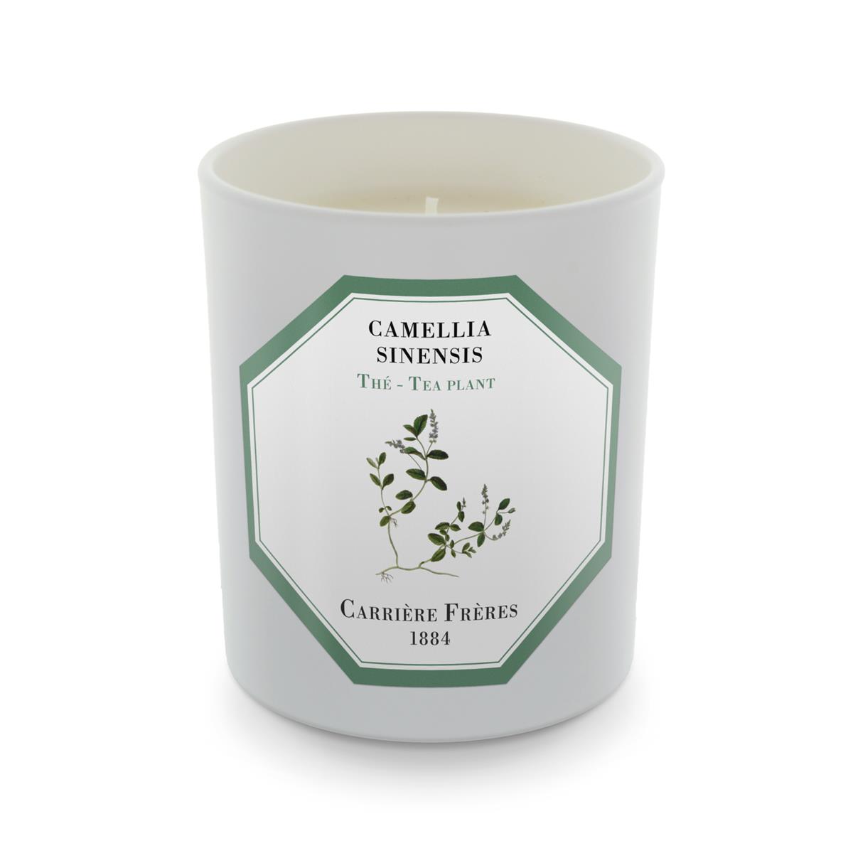 Carrière Frères Candle EUR 44,90 (c) Zweigstelle_18