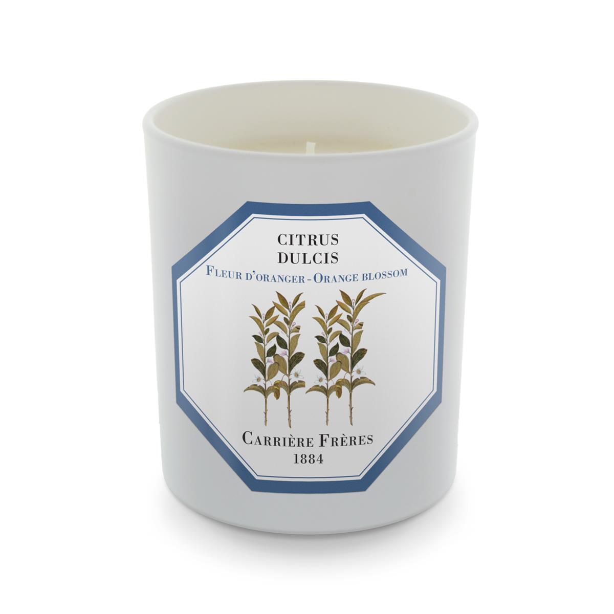 Carrière Frères Candle EUR 44,90 (c) Zweigstelle_07