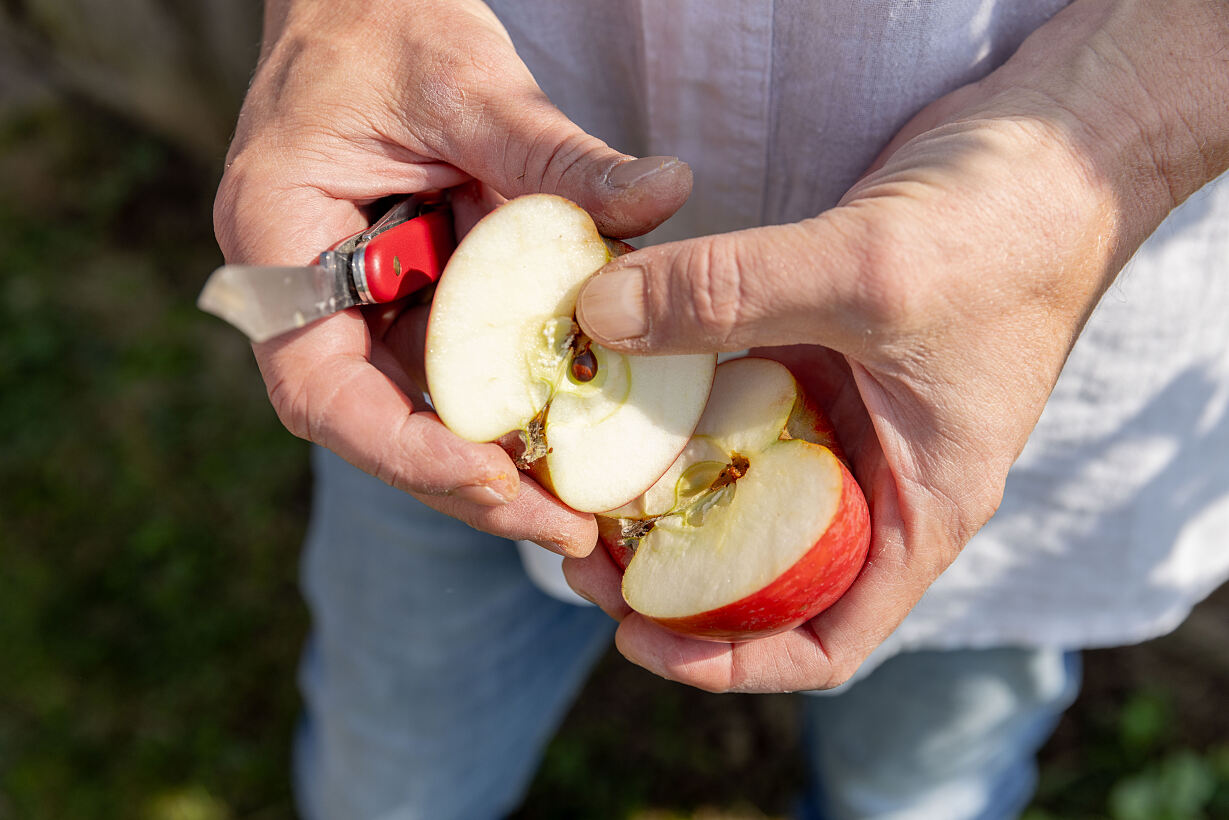 HURKAS wunderbare Streuobstwiese