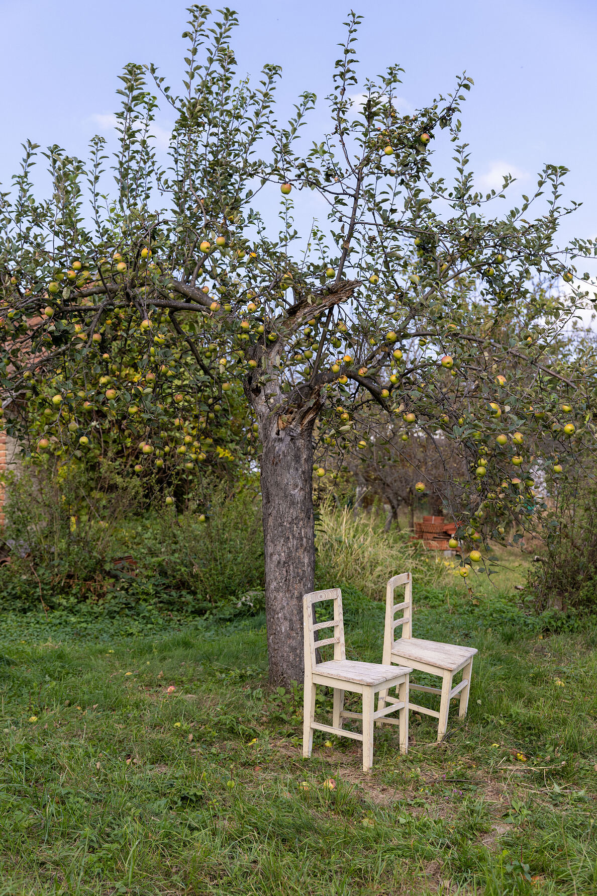 HURKAS wunderbare Streuobstwiese