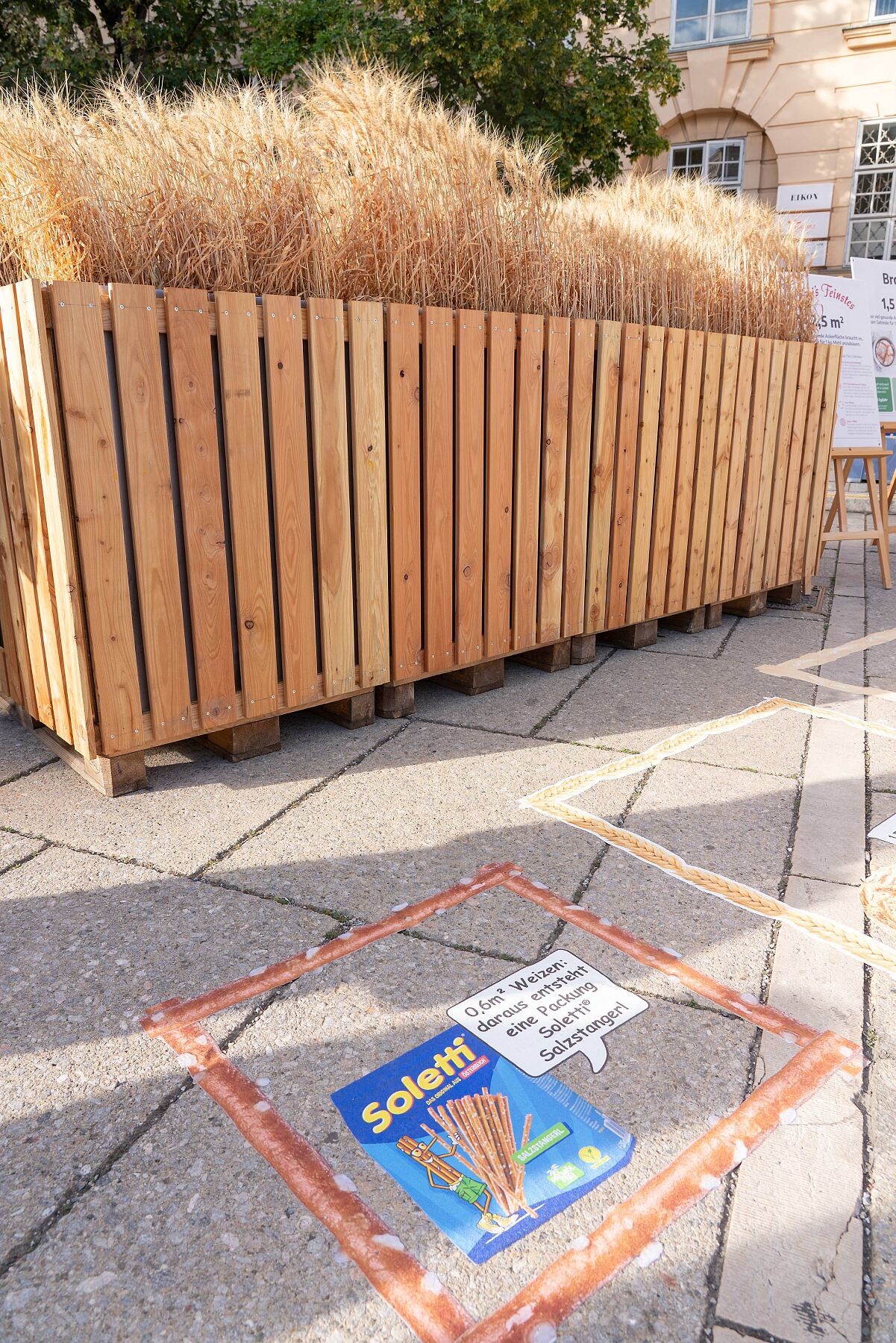 Ambiente Weizenfeld