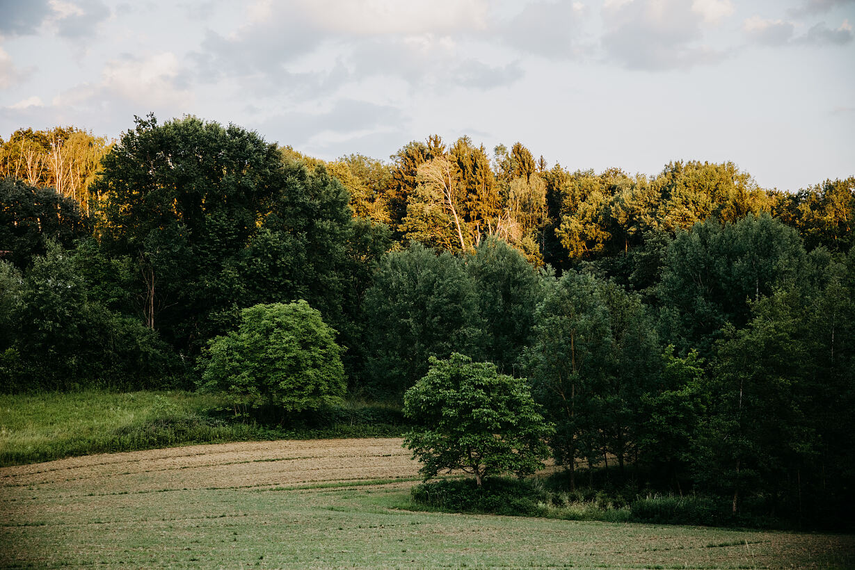 HURKAS wunderbare Streuobstwiese