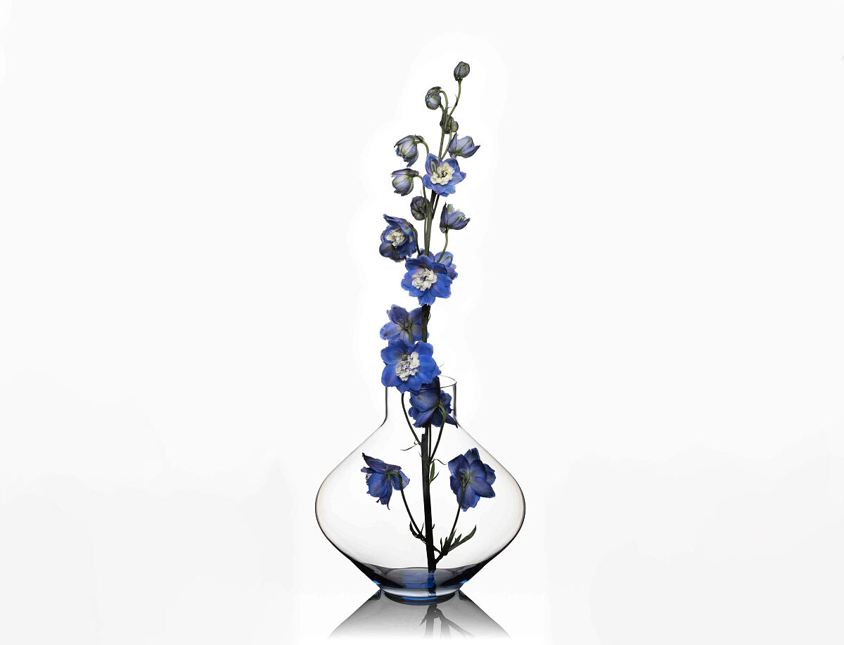 ICHIGO.Bloom No. 1 Vase & Decanter Light Blue+flowers-larkspur