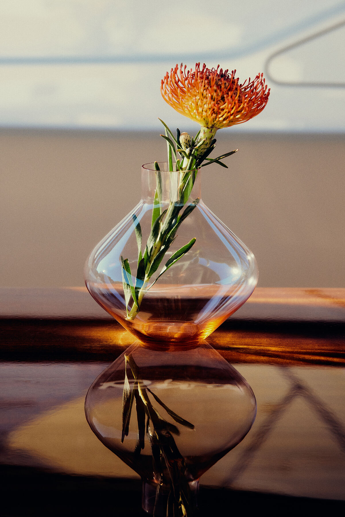 ICHIGO.ViennaxArinRapus3