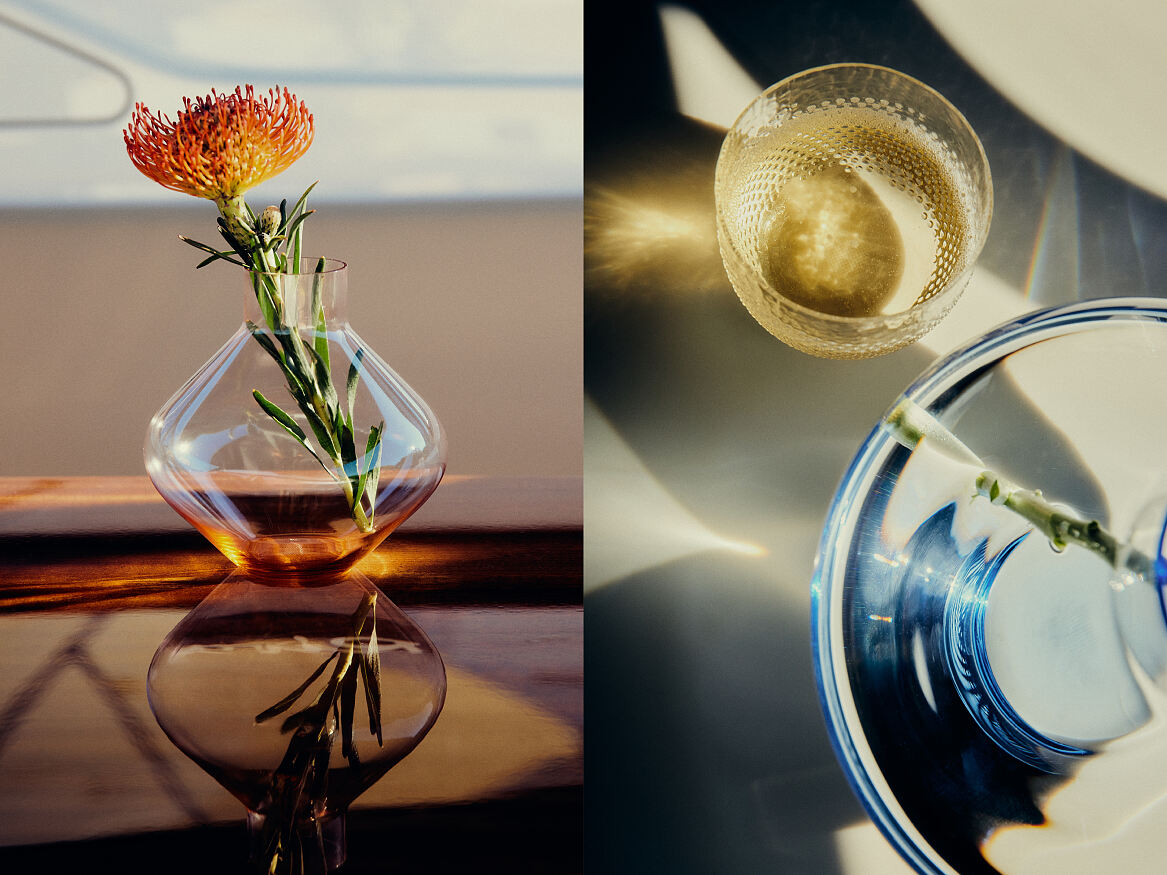 ICHIGO.ViennaxArinRapus