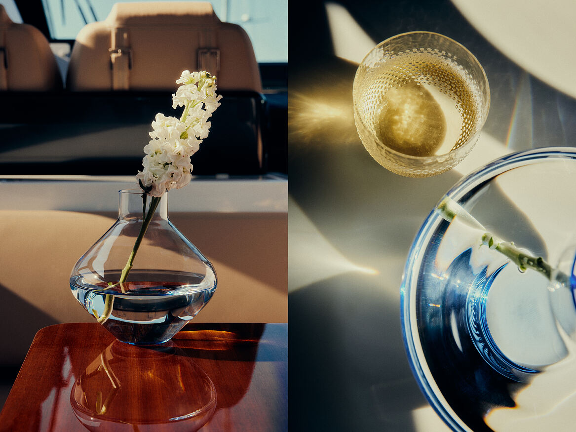 ICHIGO.ViennaxArinRapus